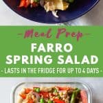 Farro Spring Salad Pin Collage Image