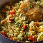 Closeup of texture of chicken and rice dish