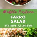 Middle Eastern Farro Salad Pin Collage