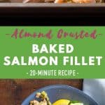 Baked Salmon Pin Collage