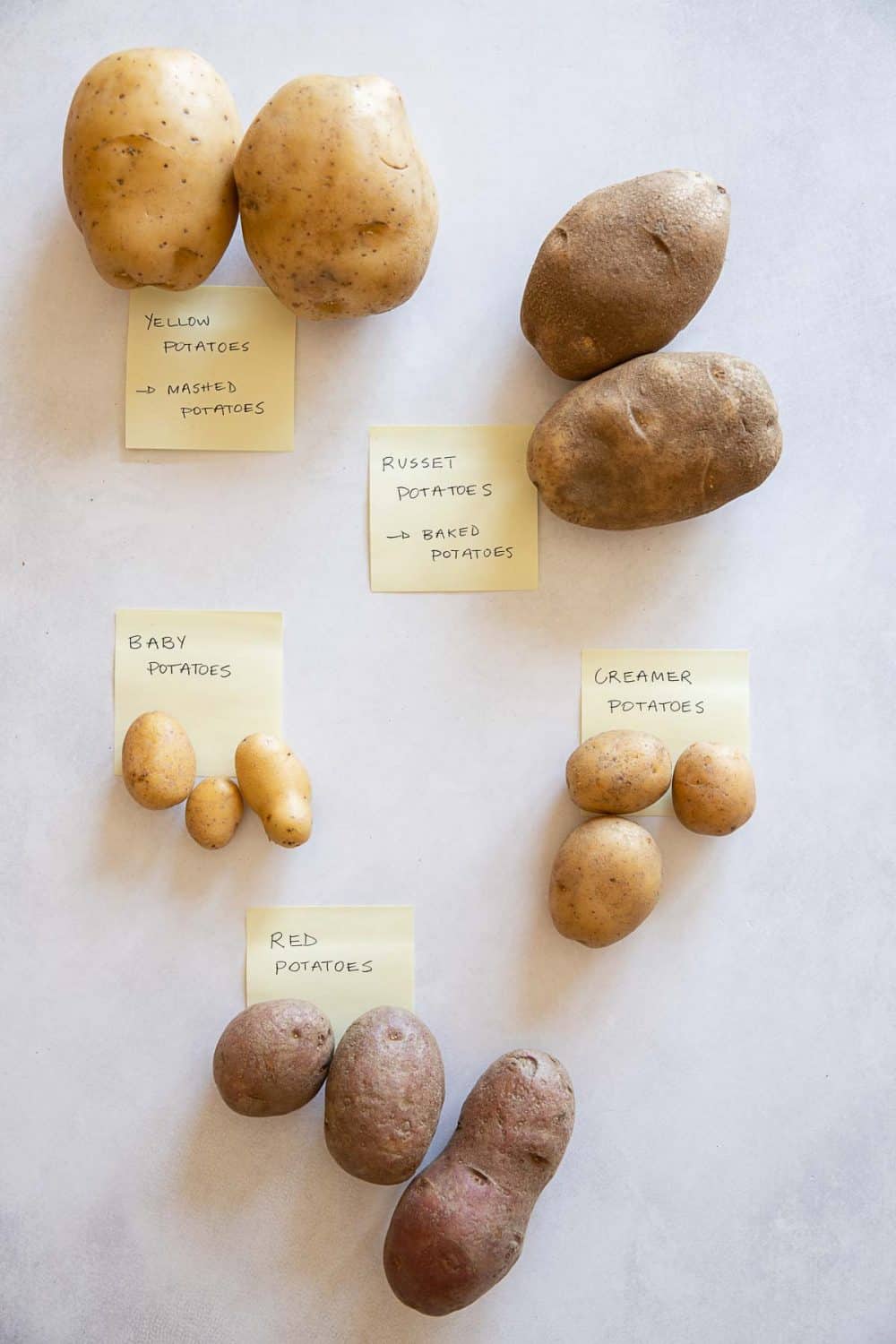 5 different types of potatoes labeled with post-its. Yellow-fleshed, Russet, red, creamer, fingerling. instant pot boiled potatoes